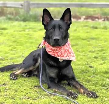 Photo of Rico