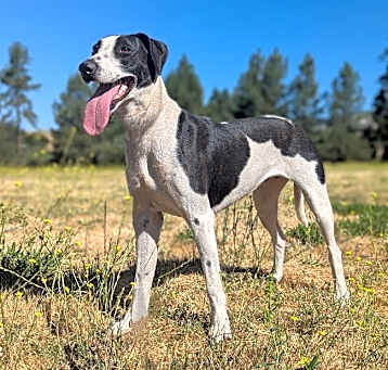 Photo of Maggie