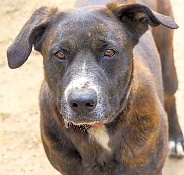 Photo of Roxy