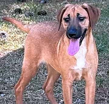 Photo of Lady