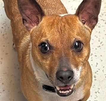 Photo of Luther