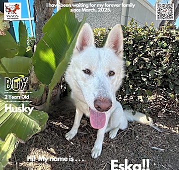 Photo of Eska