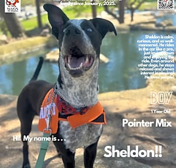Photo of Sheldon
