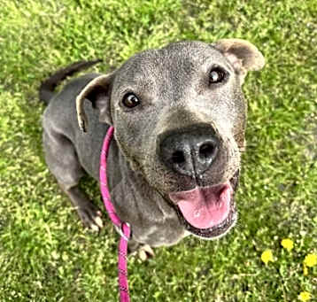 Photo of Sadie