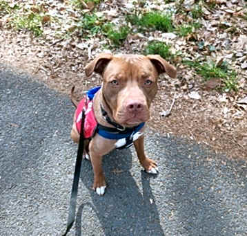 Photo of Bentley