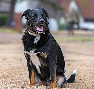Photo of Cleo