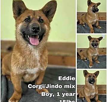 Photo of Eddie from Korea