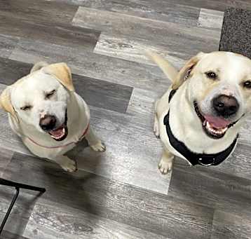 Photo of Walter and Willow