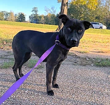 Photo of Luna