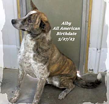 Photo of Alby