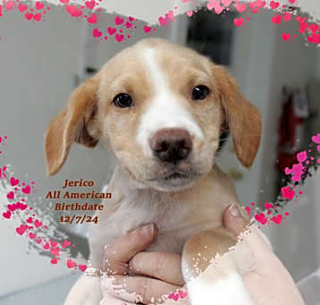 Photo of Jerico