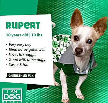 Photo of Rupert
