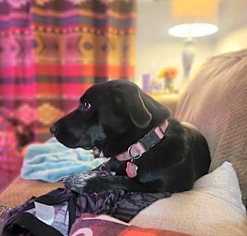 Photo of Peppa