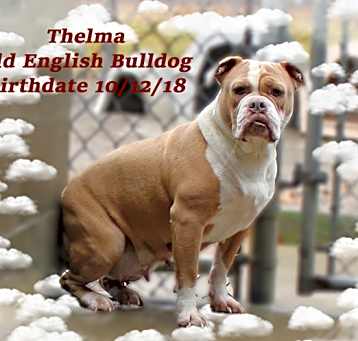 Photo of Thelma