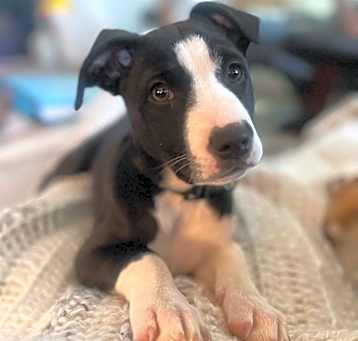 Photo of (aq) Lotta