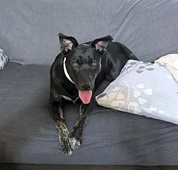 Photo of Zelda