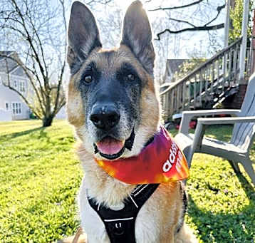 Photo of BOGI