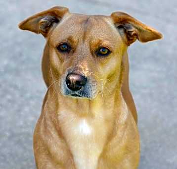 Photo of Lucy