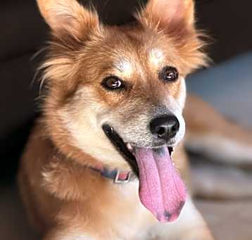 Photo of Nelly