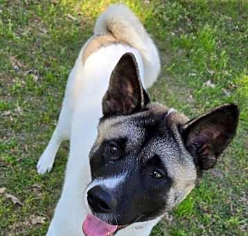 Photo of Tank