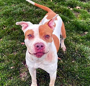 Photo of HILDA