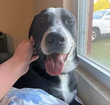 Photo of Snoop Dogg
