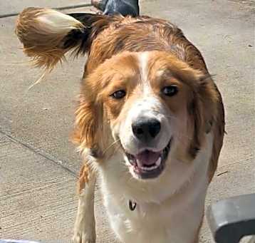 Photo of Happy