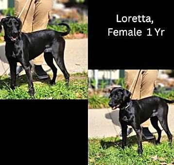 Photo of Loretta