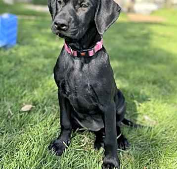 Photo of Raya