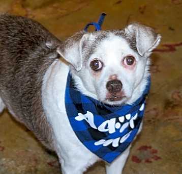 Photo of SKIPPY
