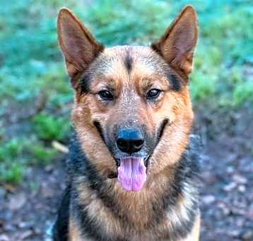 Photo of Junior