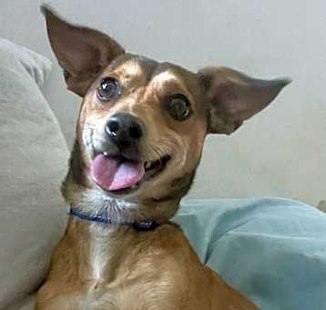 Photo of Niko