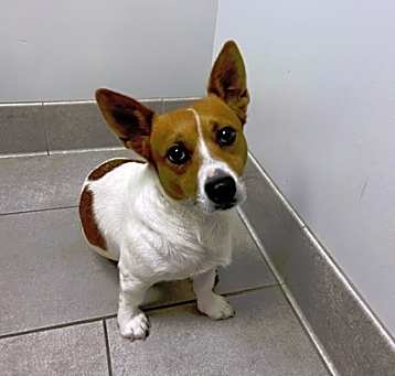Photo of Max
