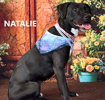 Photo of Natalie