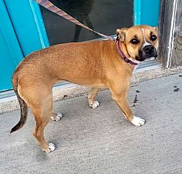 Photo of Rowena