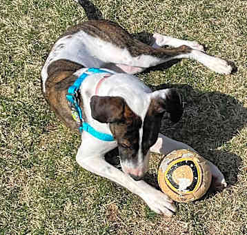 Photo of Charlee Litterer