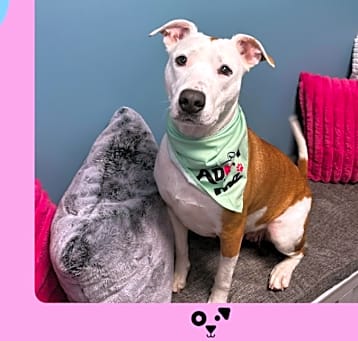 Photo of Luna