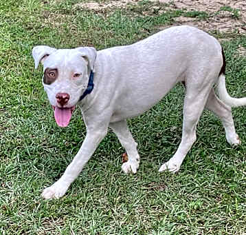 Photo of Bingo