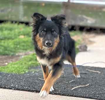 Photo of Tye