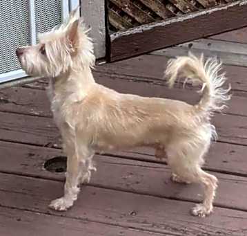 Photo of Zeus