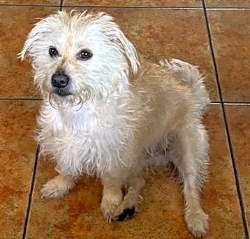 Photo of LUCKY
