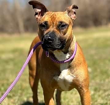 Photo of Ruby