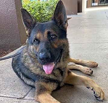 Photo of Chase