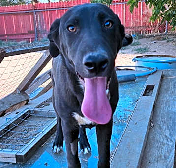 Photo of Gunther