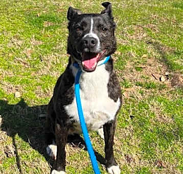 Photo of Hazel