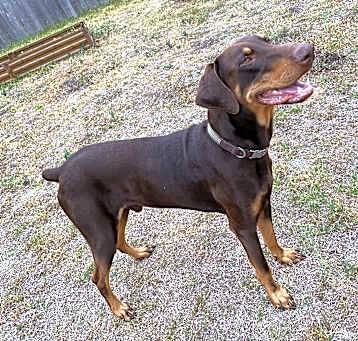 Photo of Nyx