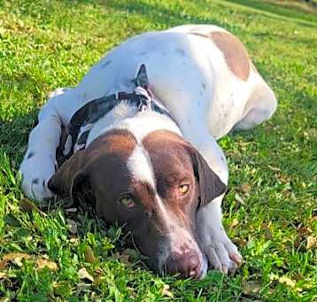 Photo of Duke
