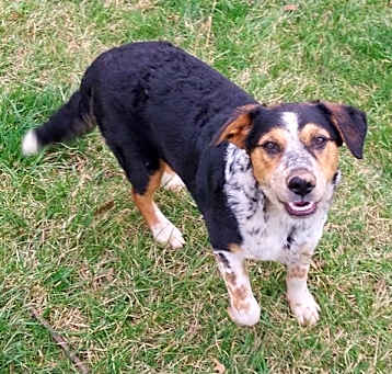 Photo of Lola