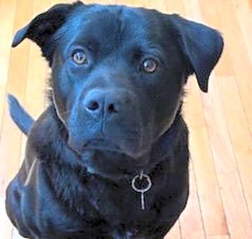 Photo of Lennox