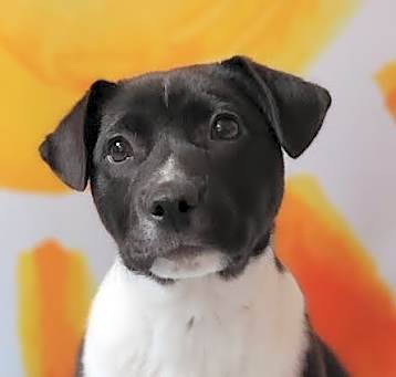 Photo of Superior